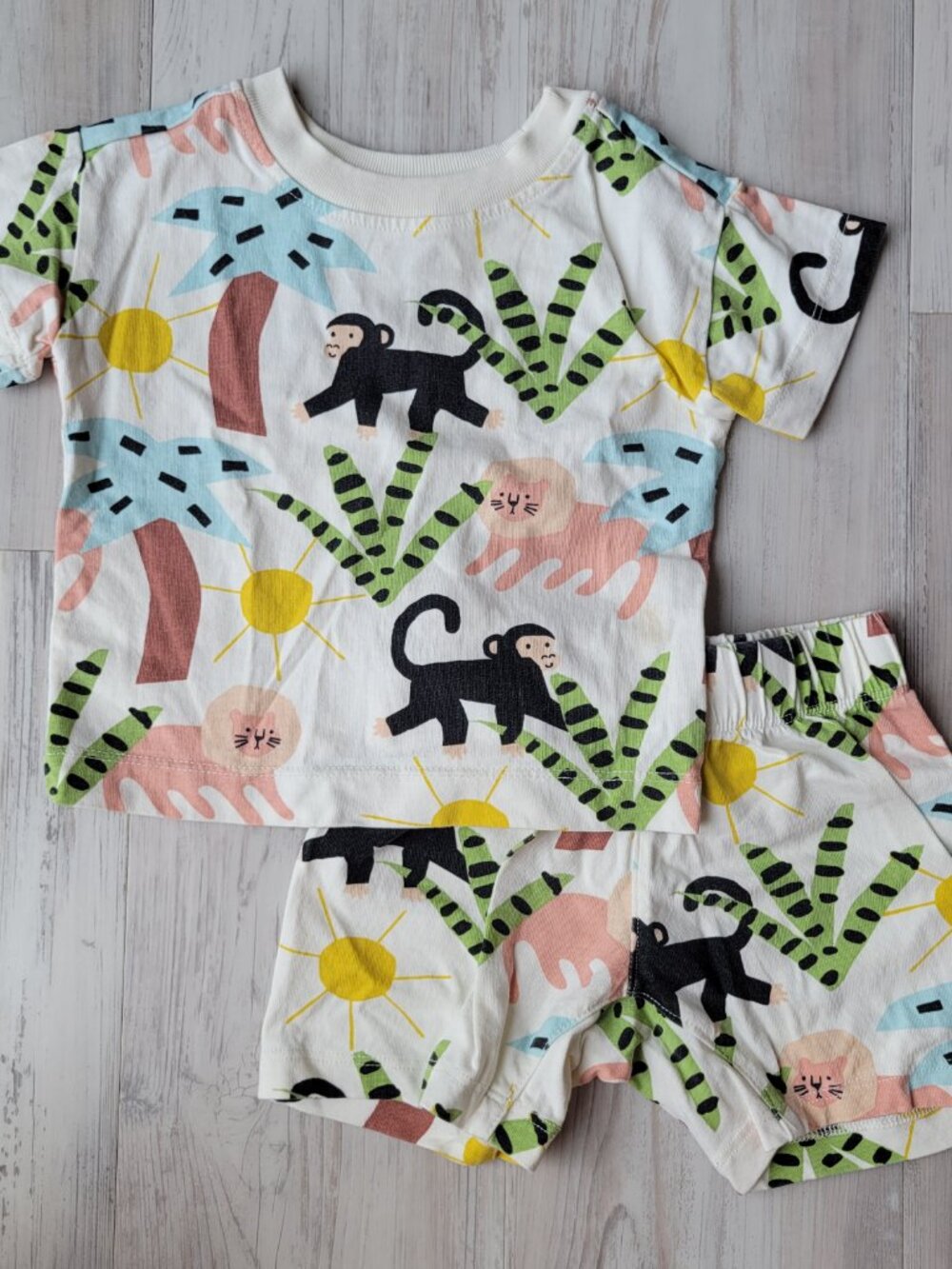 Hanna Andersson Relaxed Fit T-Shirt & Shorts Set Jungle Oasis 6-12 months